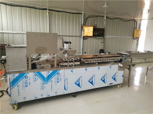 青島多功能烙饃機(jī)銷量全國 圖