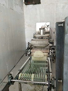 秉功機械專業(yè)的河南全自動烙饃機出售 多種河南全自動烙饃機