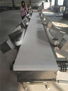 海產品重量分選機選購指南 直擊諸城和義機械與臺灣設備高清圖解